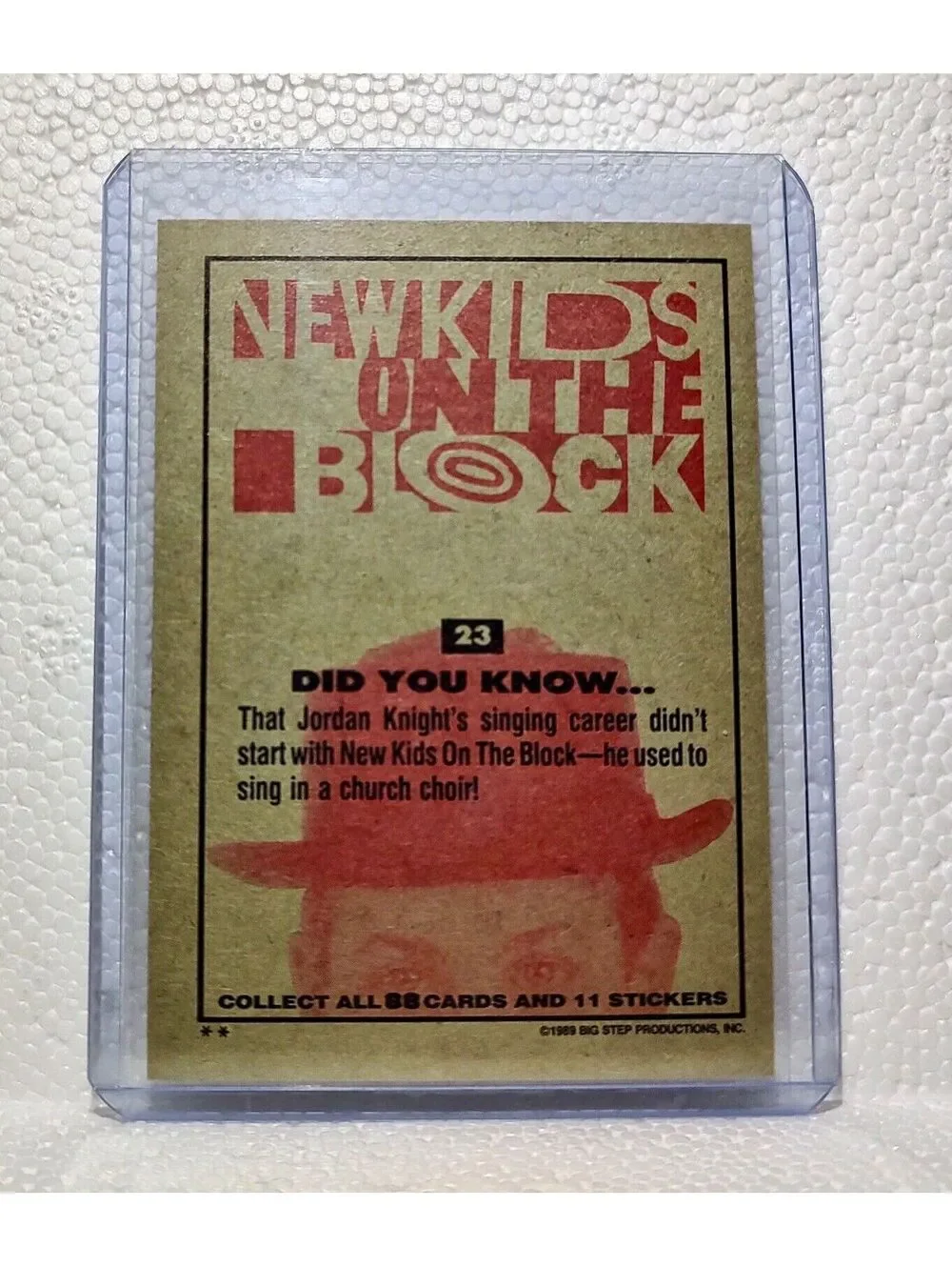 Did You Know 1989 New Kids on the Block #23 Trading Card